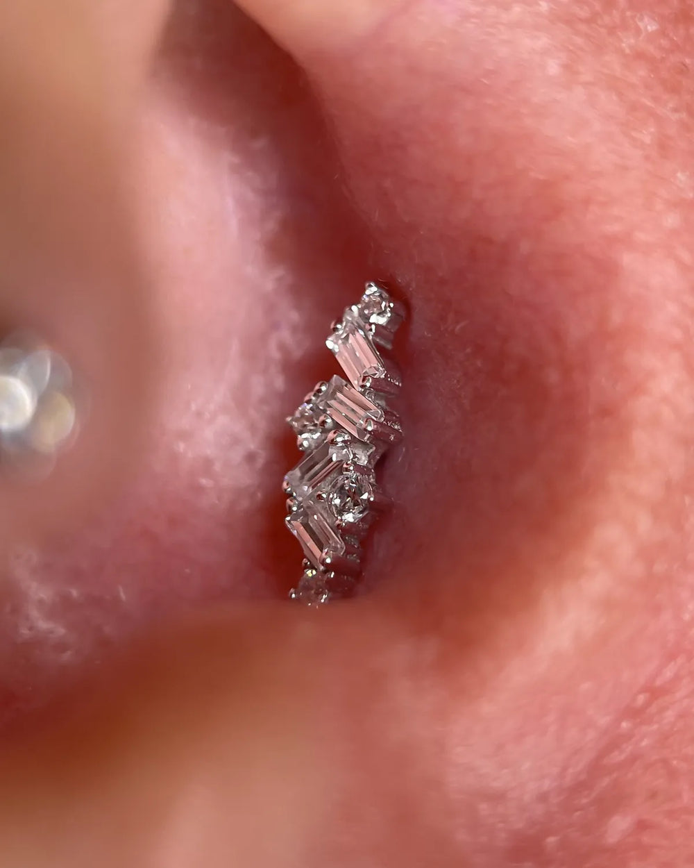 Conch