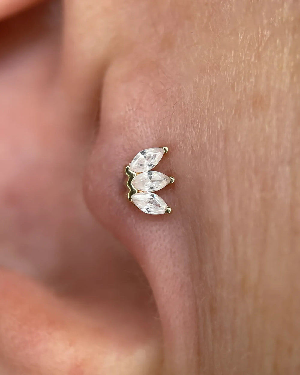 Tragus
